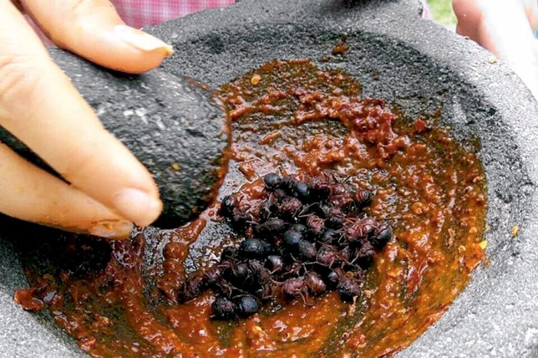 Como Conservar Una Tortilla De Patatas Recién Hecha