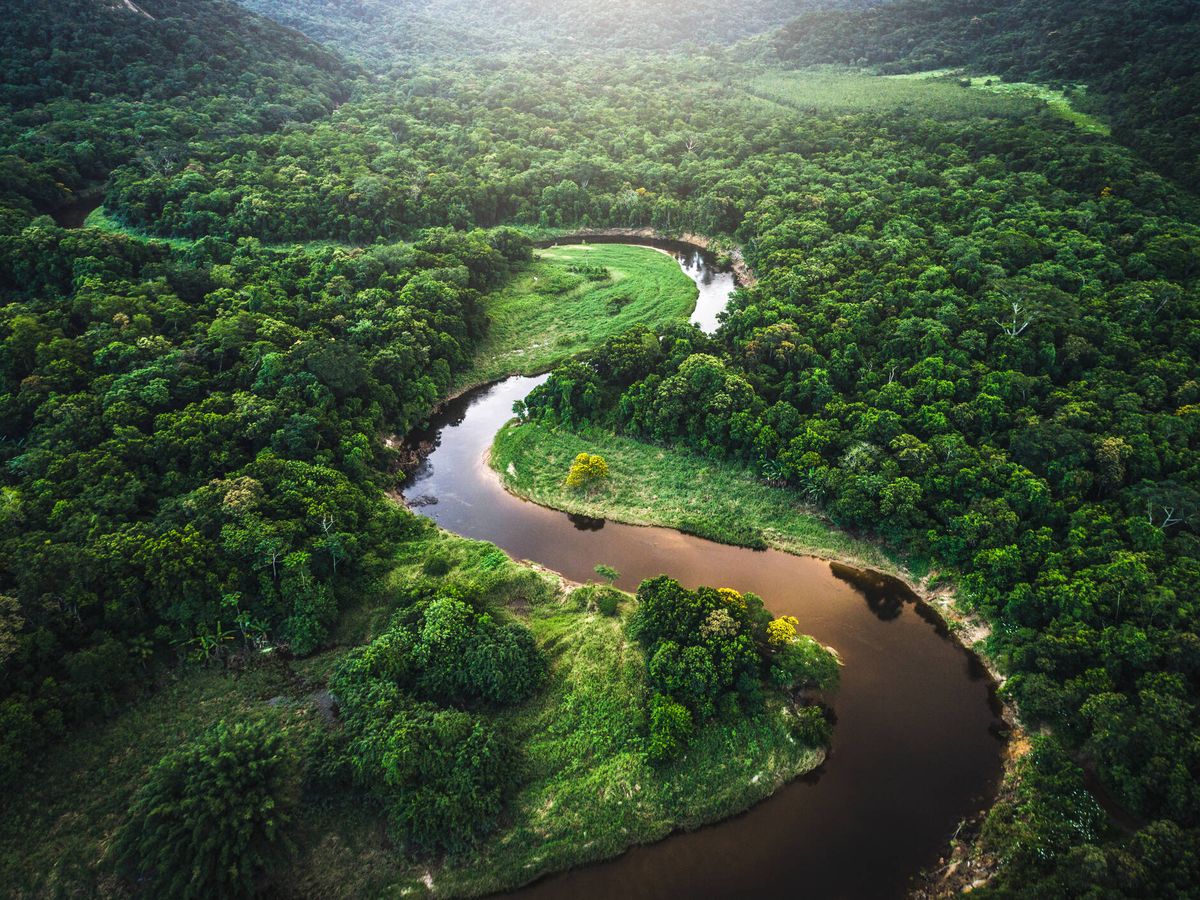 ¿Es el Amazonas el río más grande del mundo?