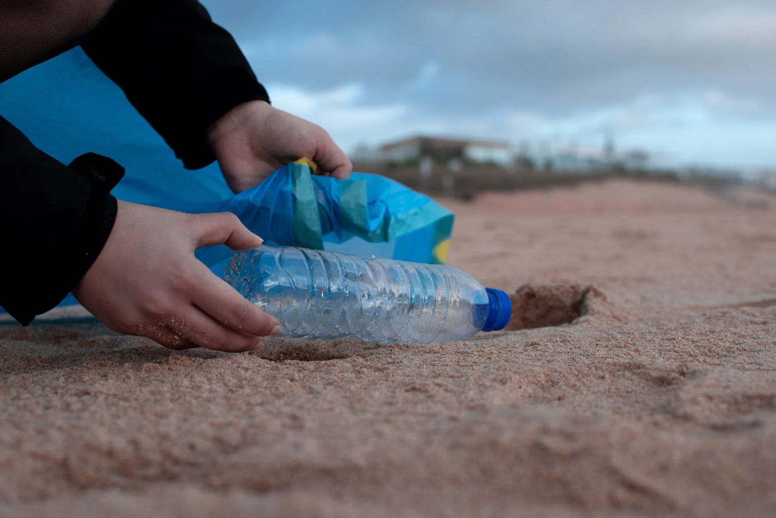 Foro Económico Mundial reconoce a Ecoce por sus acciones de reciclaje