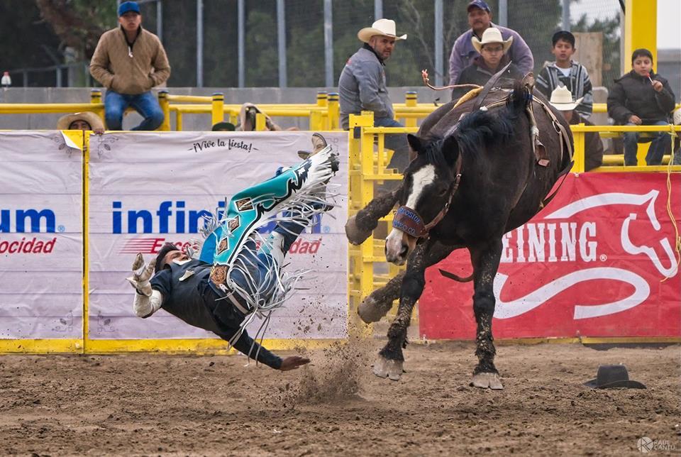 Regresa al Rodeo Profesional a Saltillo, repartirán 500 mil pesos a ganadores