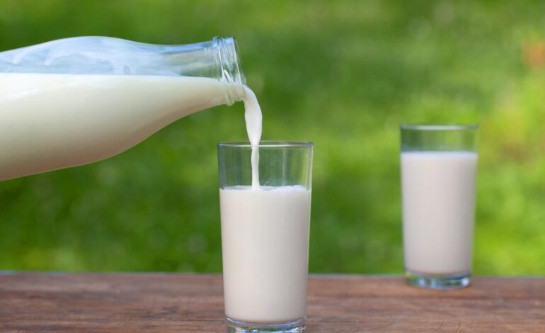 ¿Quién se robó mi leche?