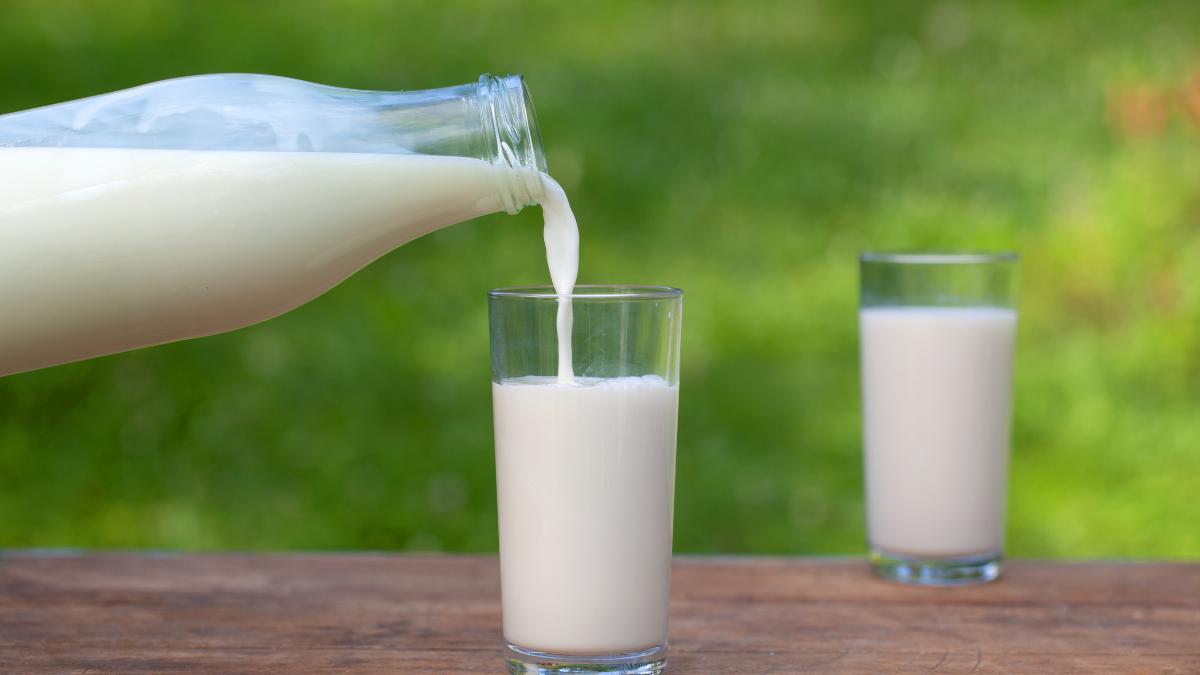 ¿Quién se robó mi leche?